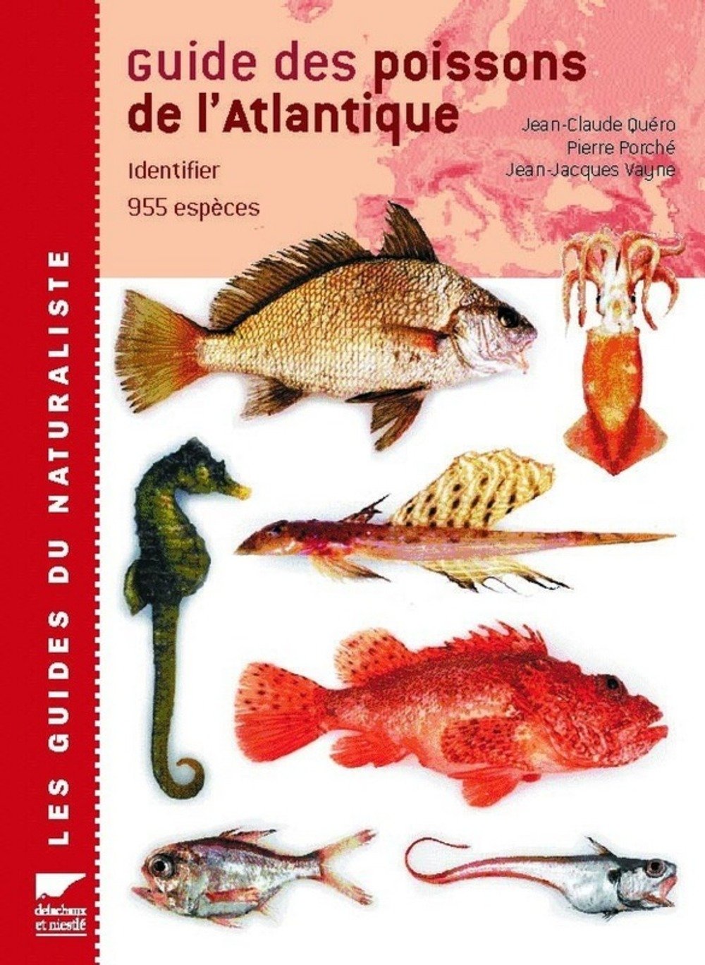 Guide des poissons de l'Atlantique européen Leisure & Fun