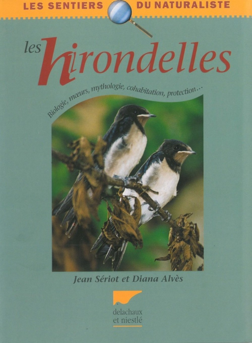 Les Hirondelles : Les Ailes du printemps: Description, moeurs, observation, protection, mythologie... Leisure & Fun