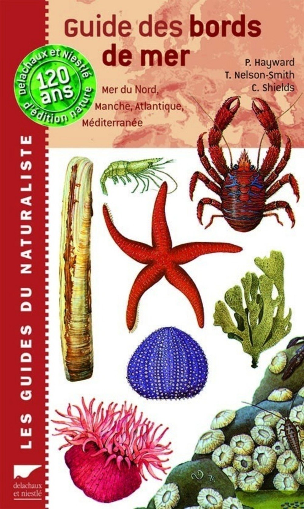Guide des bords de mer : Mer du nord, Manche, Atlantique, Méditerranée Leisure & Fun