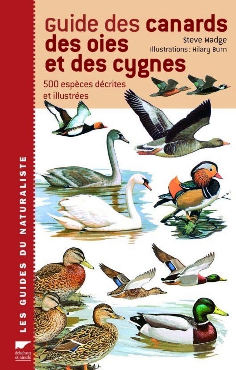 Guide des canards, des oies et des cygnes : 500 espèces décrites et illustrées Leisure, Home & Garden