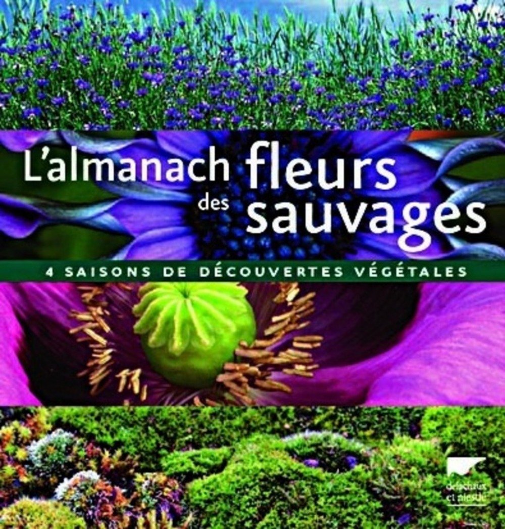 L'almanach des fleurs sauvages: 4 Saisons de découvertes végétales Books