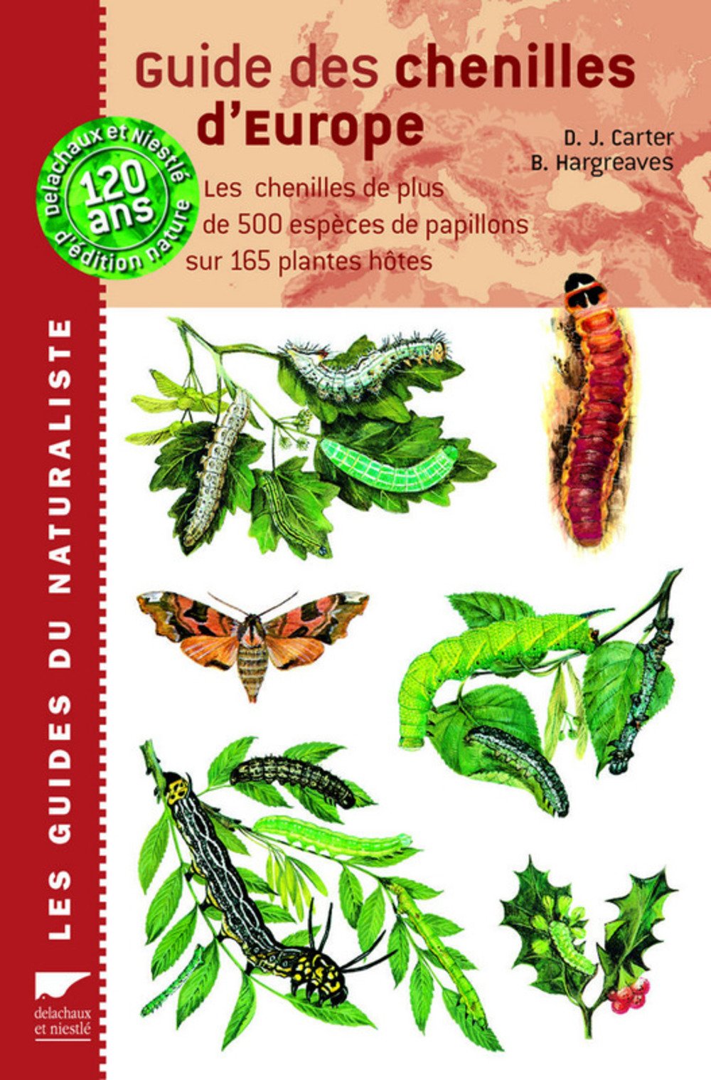 Guide des chenilles d'Europe : Les chenilles de plus de 500 espèces de papillons sur 165 plantes hôtes Leisure & Fun