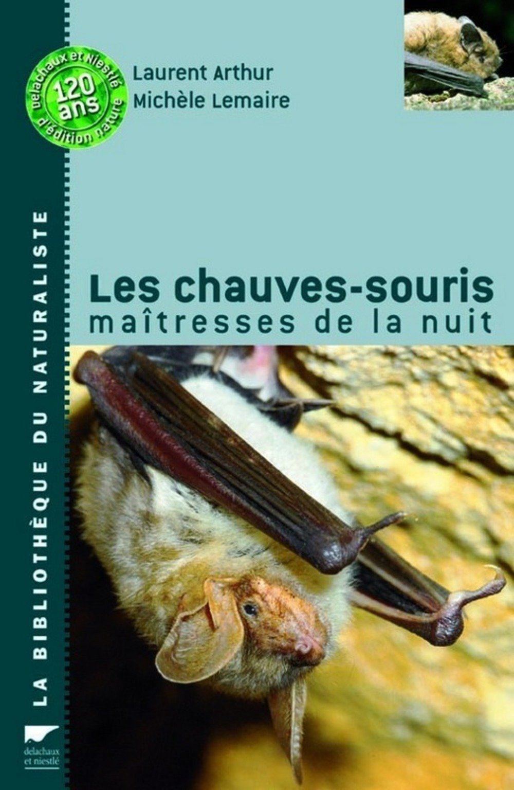 Les chauves-souris : maîtresse de la nuit Leisure & Fun