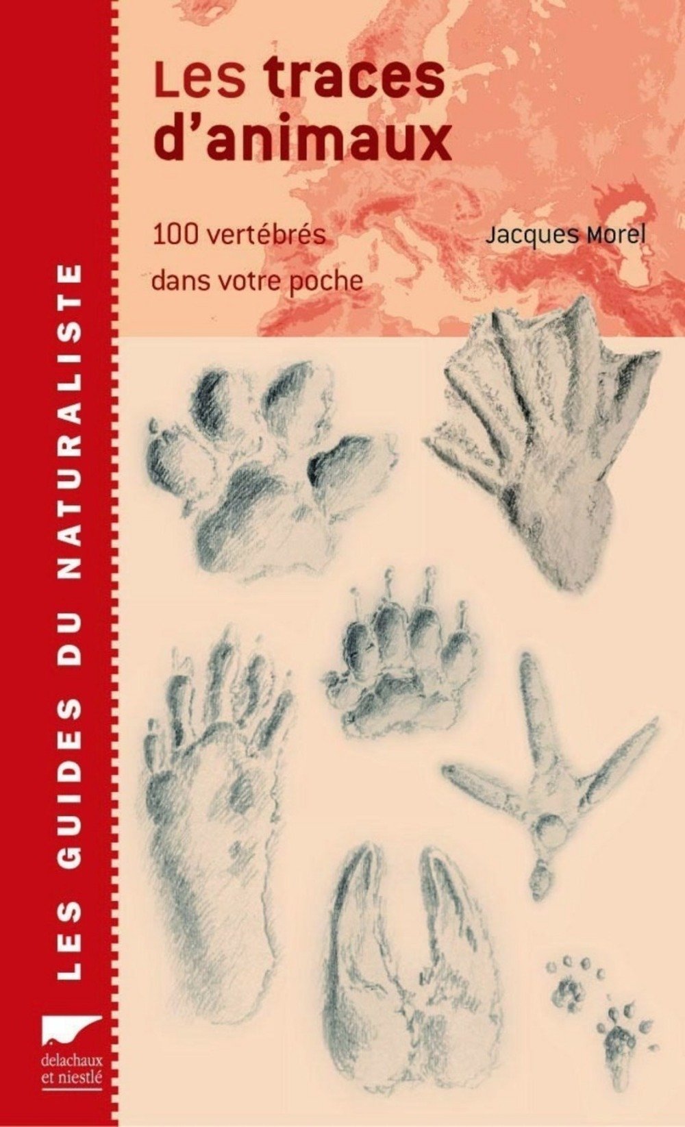 Les traces d'animaux: 100 vertébrés dans votre poche Books