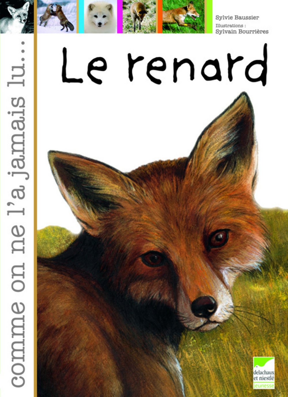 Le renard Books