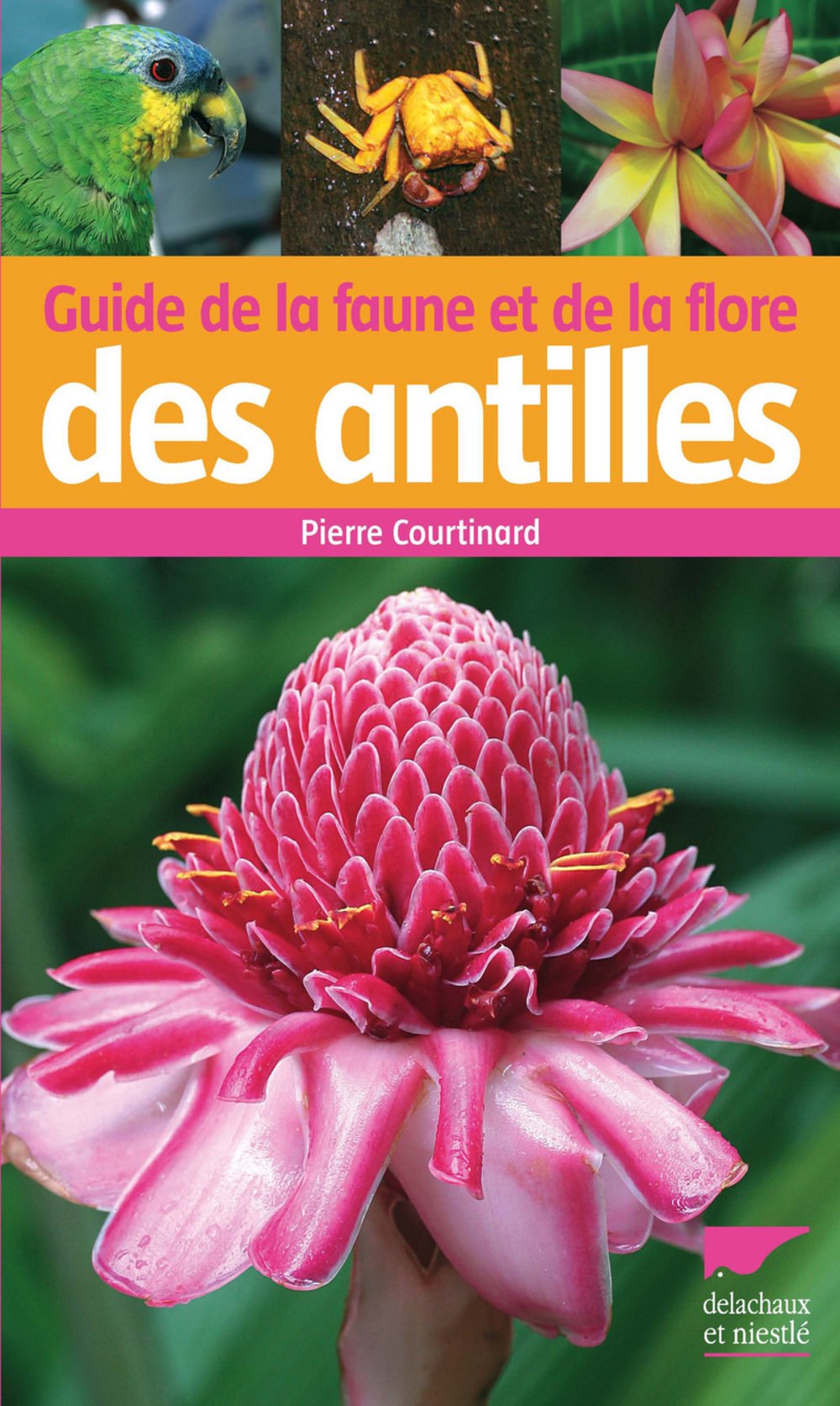Guide de la faune et de la flore des Antilles Books