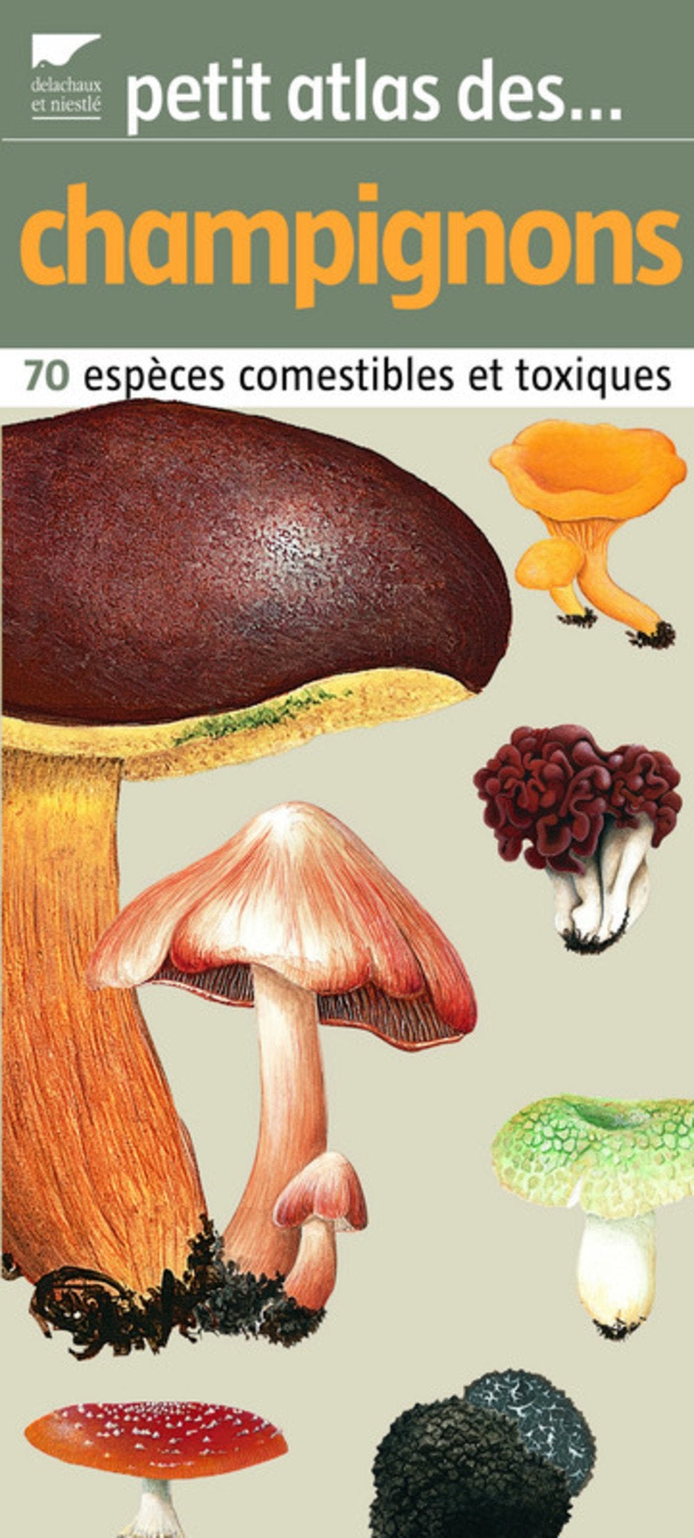 Petit atlas des champignons: 70 Espèces comestibles et toxiques Books