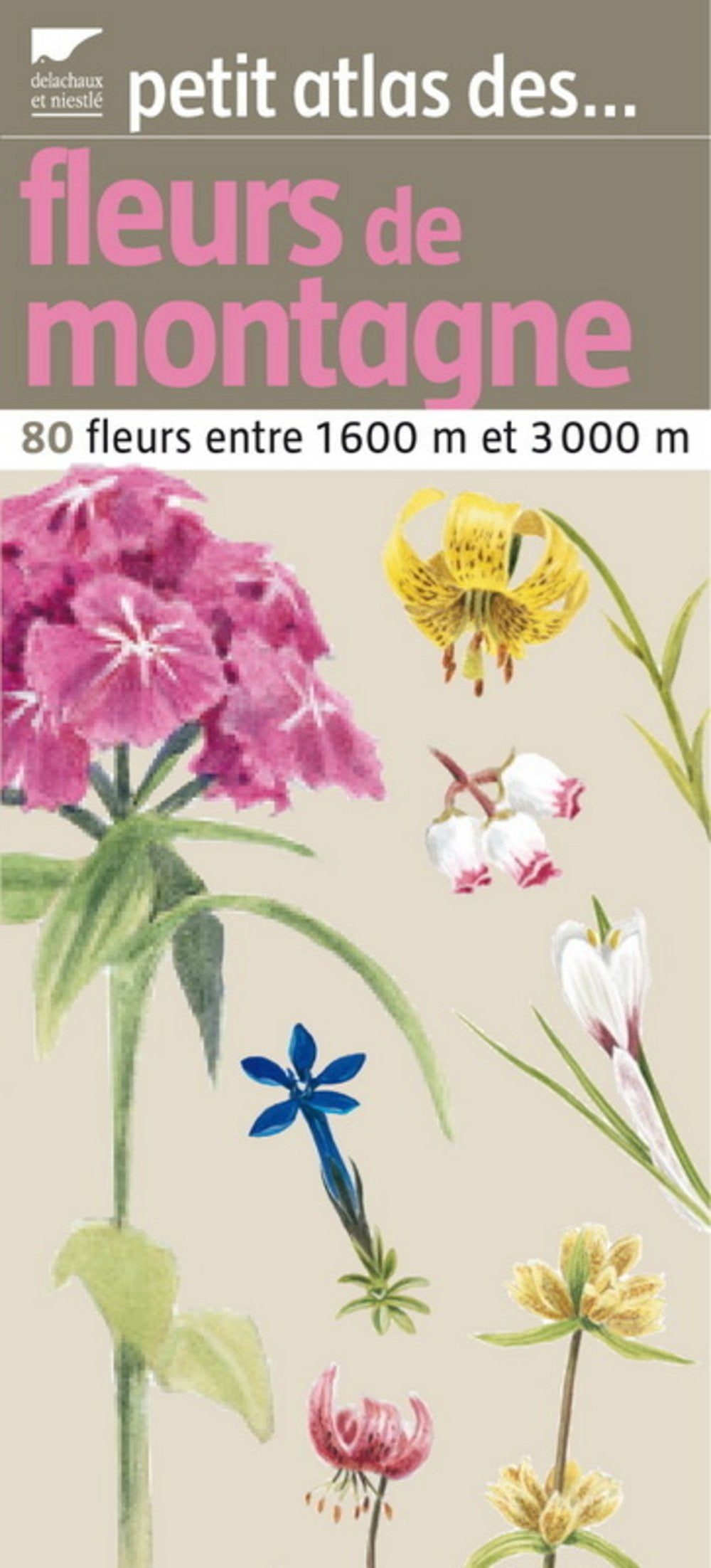 Petit atlas des fleurs de montagne: 80 Fleurs entre 1660 et 3000m Books