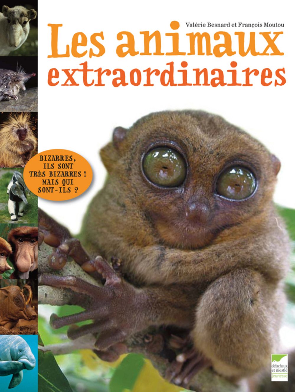 Les animaux extraordinaires Books