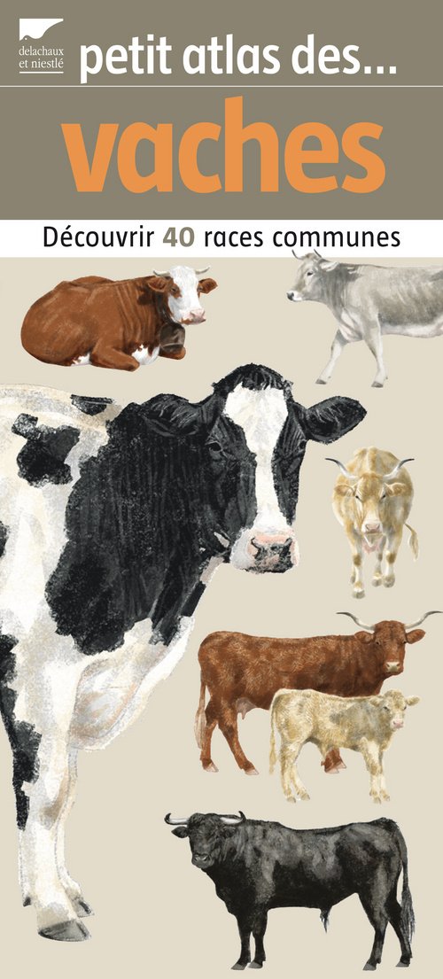 Petit atlas des vaches: 40 Races à découvrir et identifier Books
