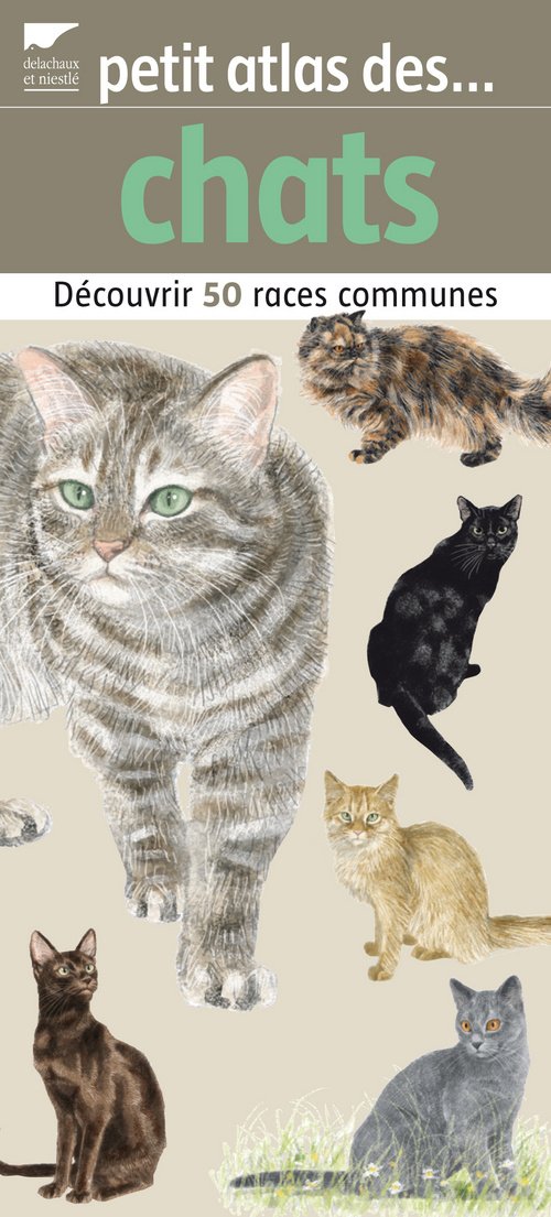 Petit atlas des chats: Découvrir 50 races communes Books
