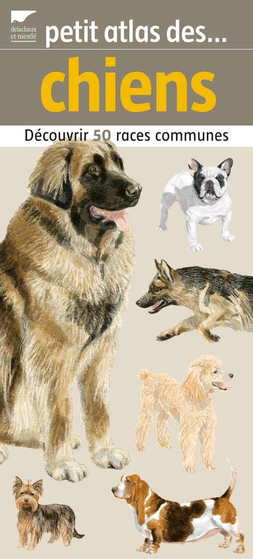 Petit atlas des chiens: Découvrir 50 races communes Books