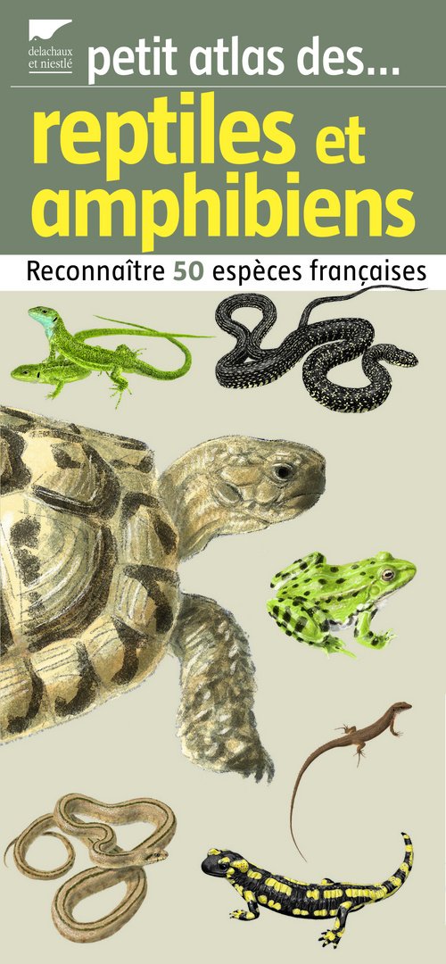 Reptiles et amphibiens: Reconnaître 50 espèces françaises Books