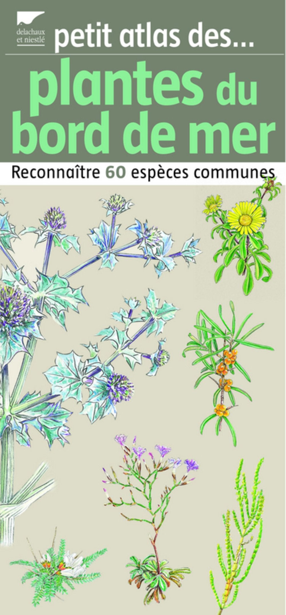Plantes du bord de mer: Reconnaître 60 espèces communes Books