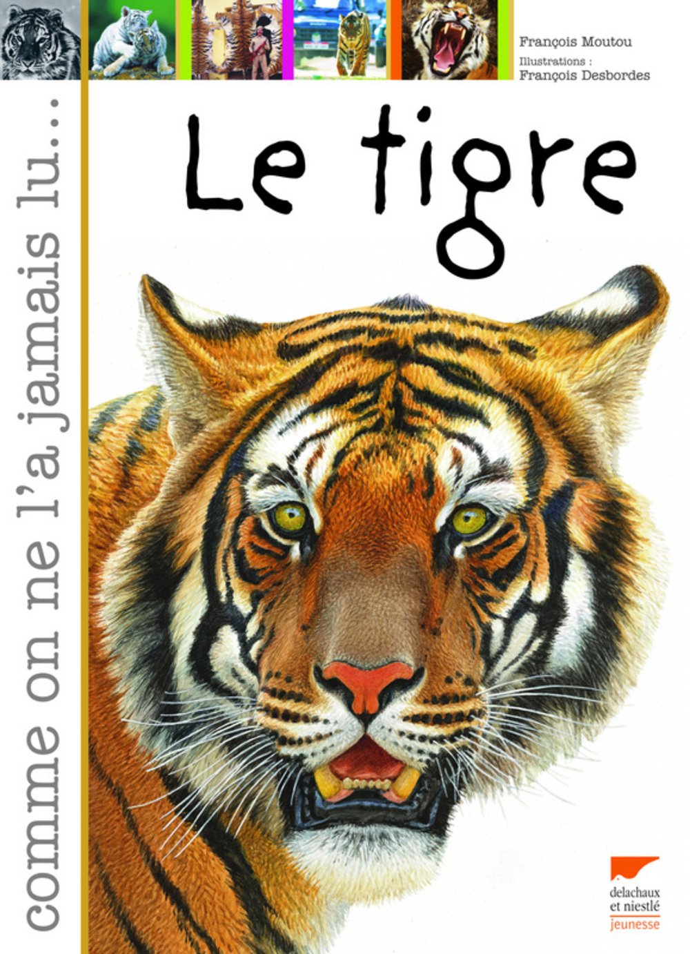 Le tigre Books