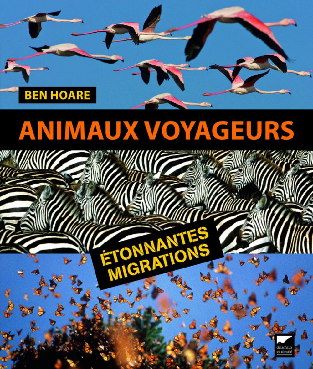 Animaux voyageurs: Etonnantes migrations Books
