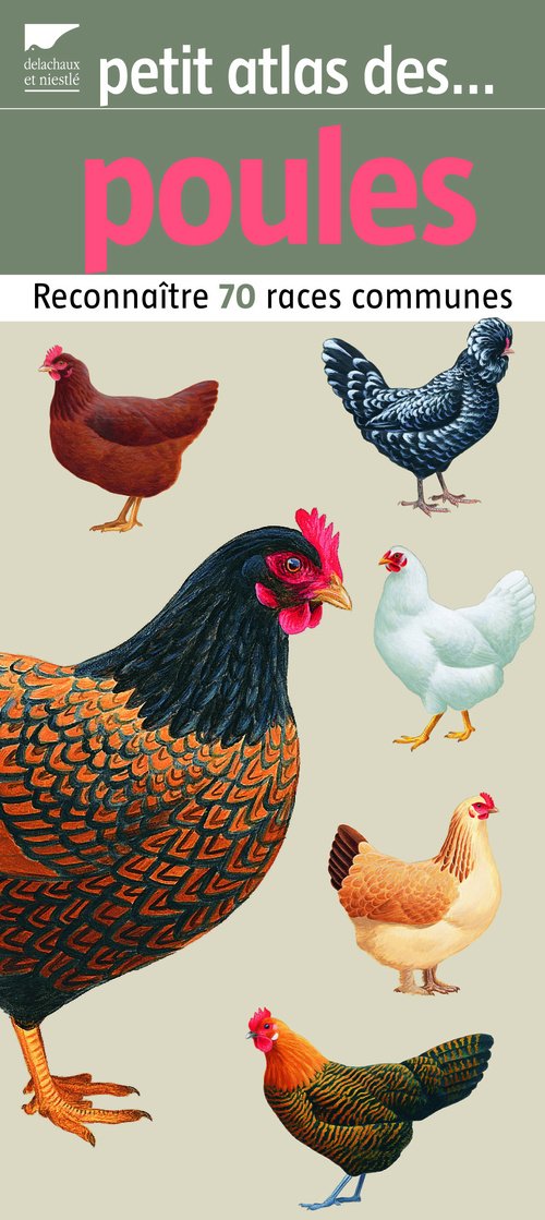 Petit atlas des poules: Reconnaître 70 races communes Books