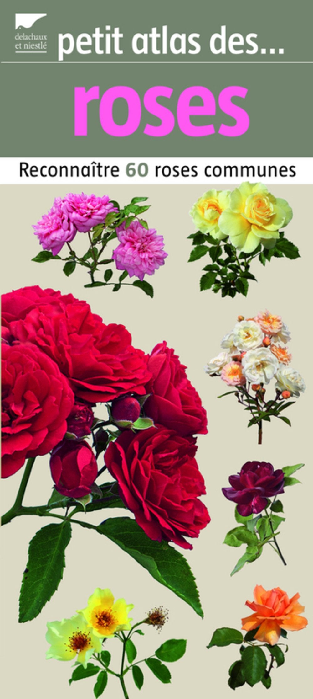 Petit atlas des roses Books