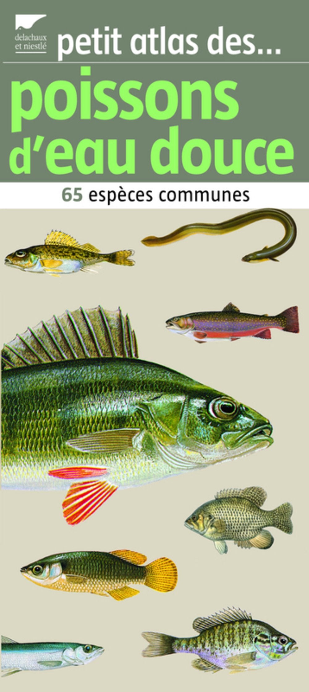 Petit atlas des poissons d'eau douce: 65 espèces communes Books