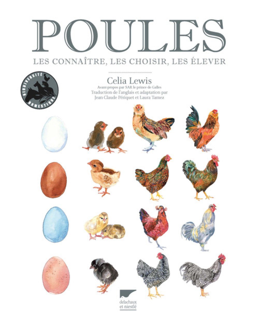 Poules: Les connaître, les choisir, les élever Leisure, Home & Garden