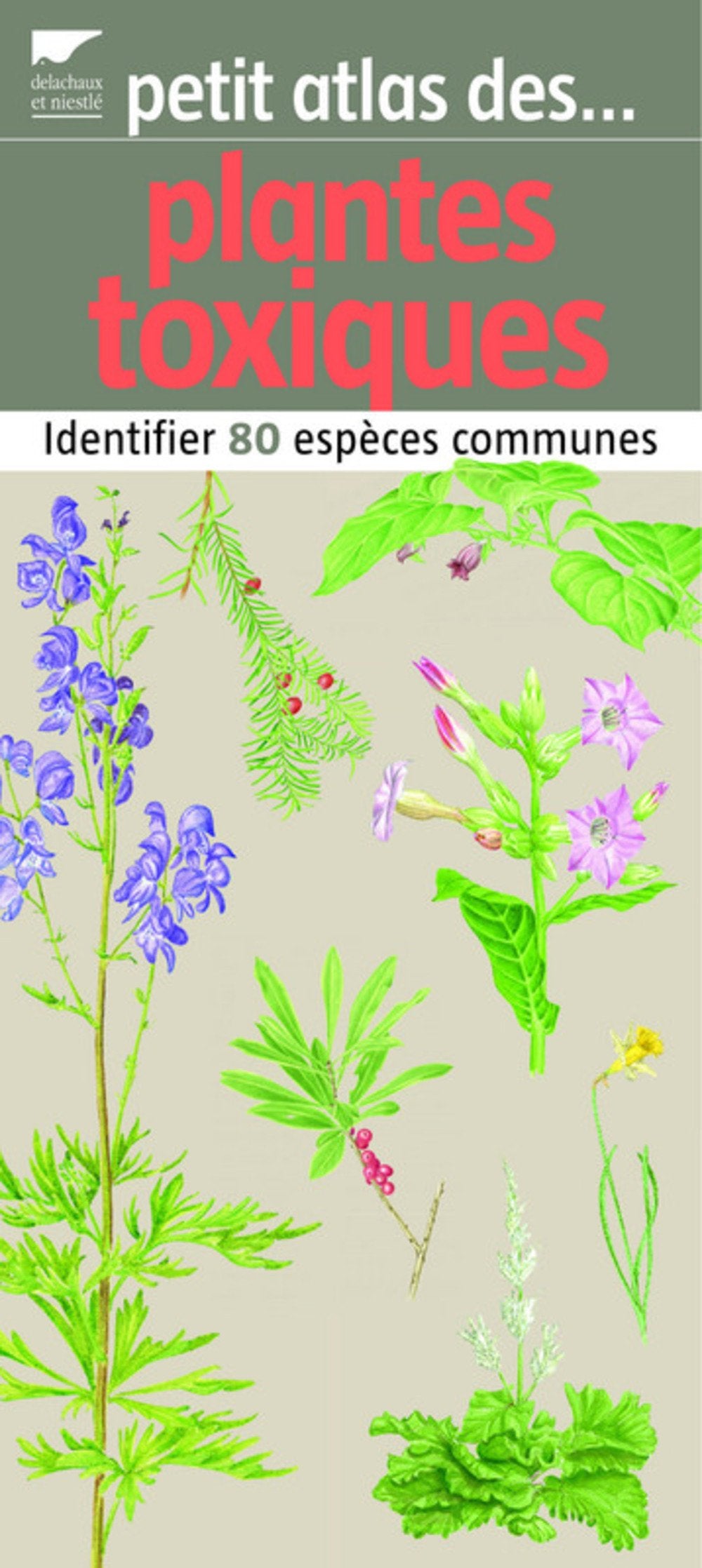 Petit atlas des plantes toxiques: Identifier 80 espèces communes Books