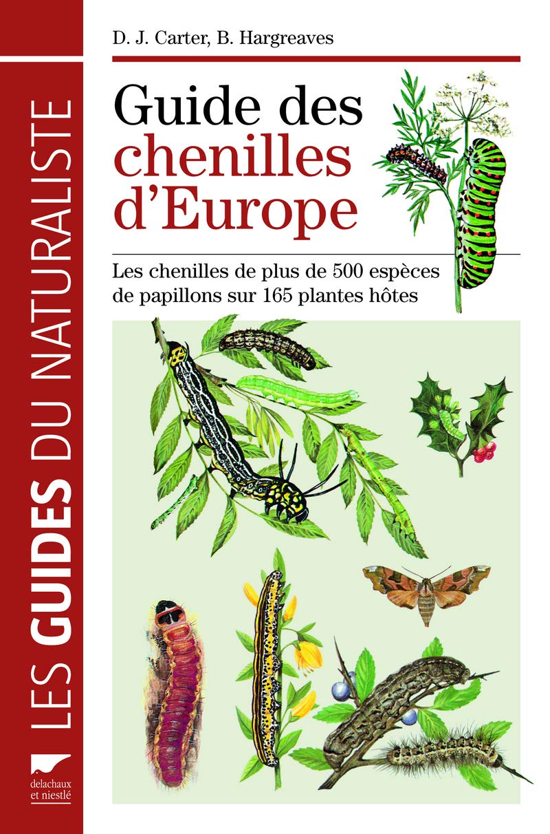 Guide des chenilles d'Europe: Les chenilles de plus de 500 espèces de papillons sur 165 plantes book