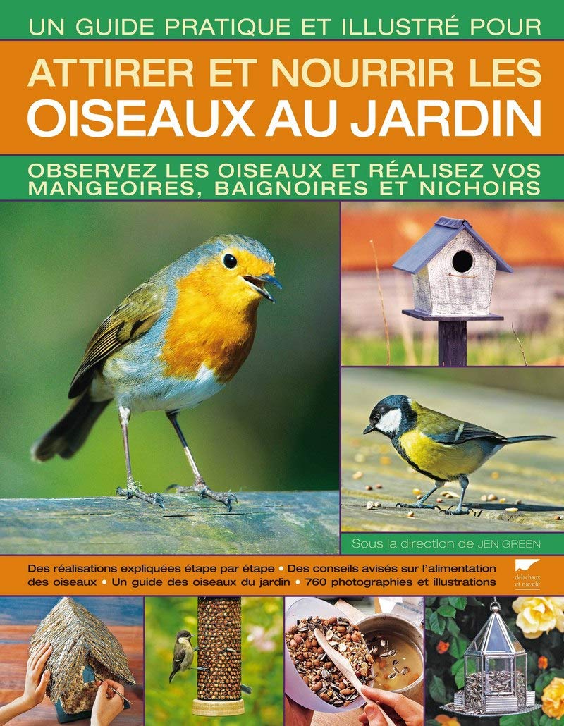Attirer et nourrir les oiseaux au jardin: Observez les oiseaux et réalisez vos mangeoires, baignoires et nichoirs Leisure, Home & Garden