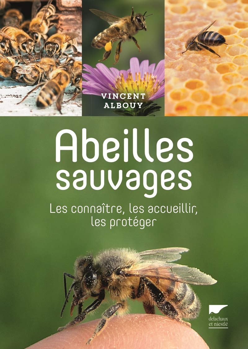 Abeilles sauvages: Les connaître, les accueillir, les protéger Natural Sciences