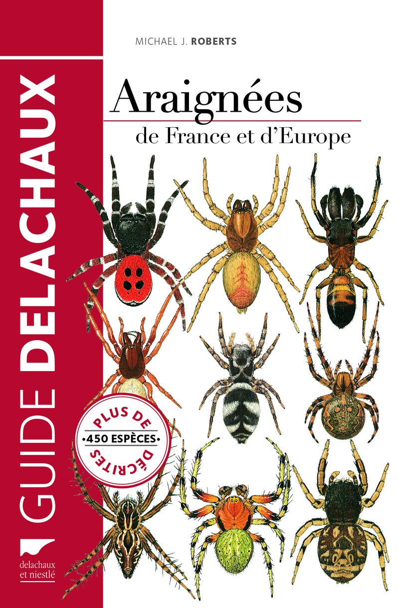 Araignées de France et d'Europe Leisure, Home & Garden
