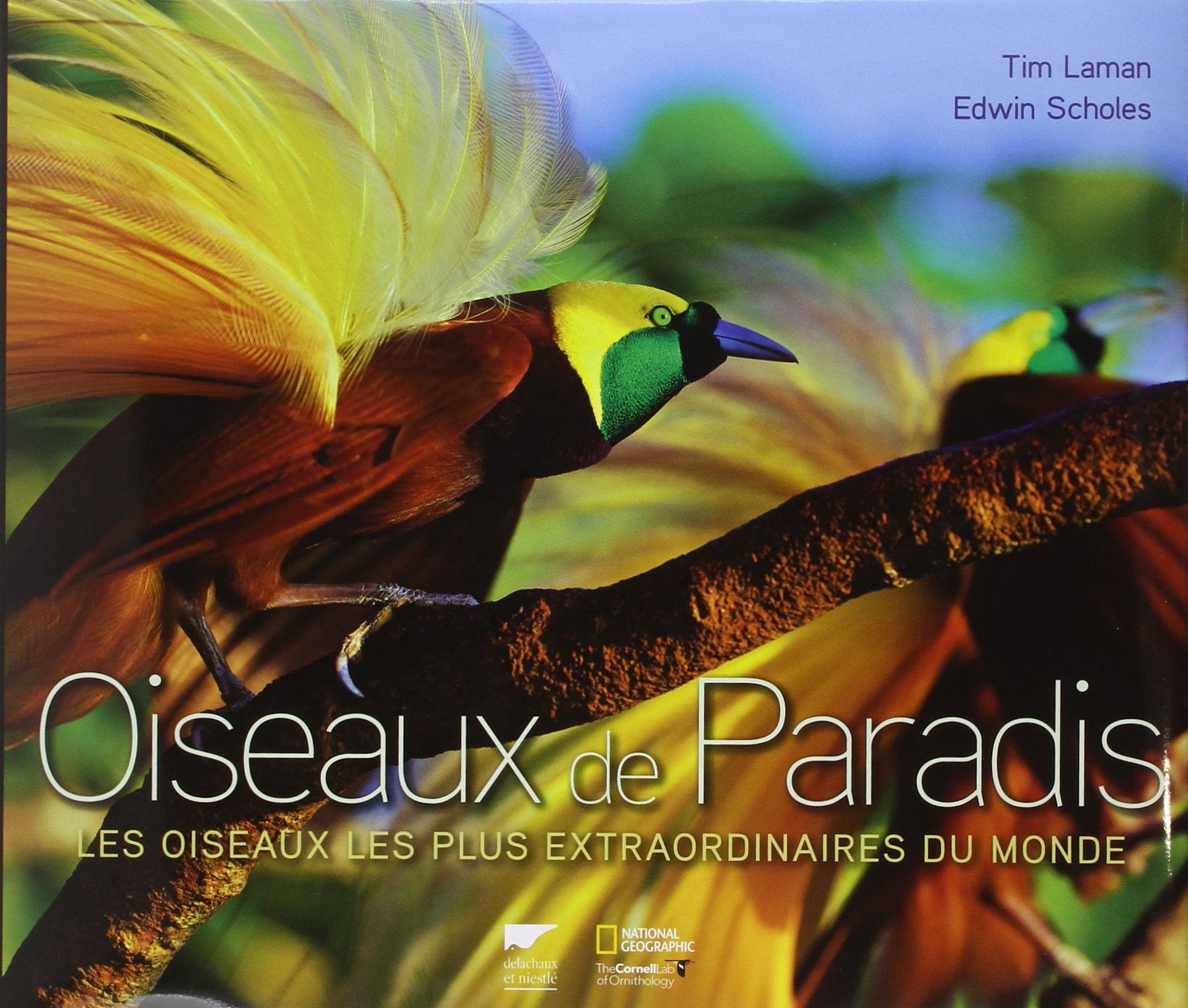 Oiseaux de Paradis: Les Oiseaux les plus extraordinaires du monde Leisure, Home & Garden