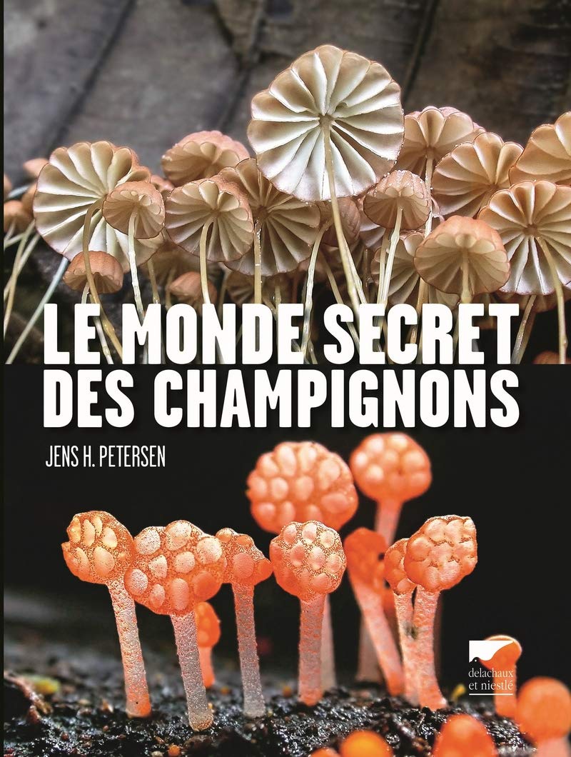 Le Monde secret des champignons Leisure, Home & Garden