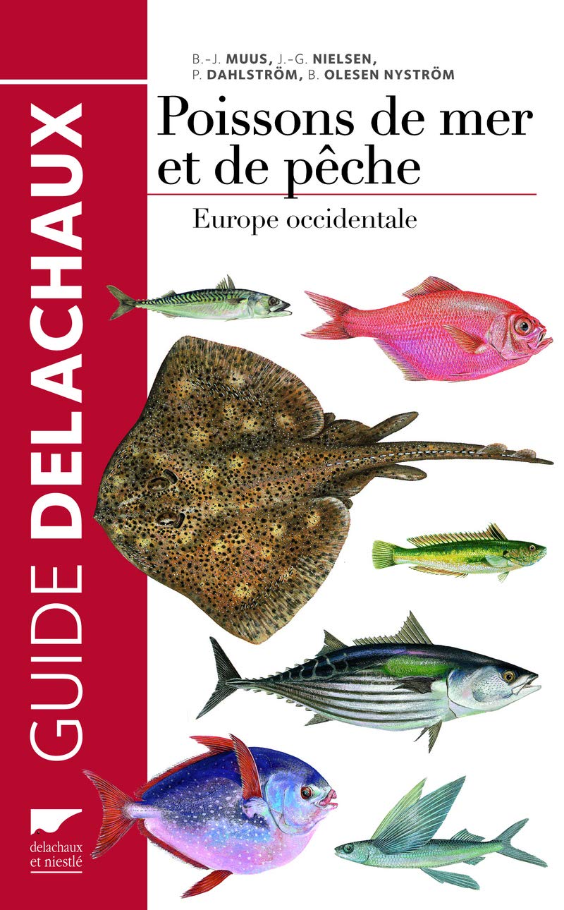 Poissons de mer et de pêche: Europe occidentale Leisure, Home & Garden