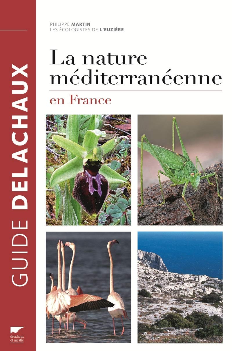 La Nature méditerranéenne en France Leisure, Home & Garden