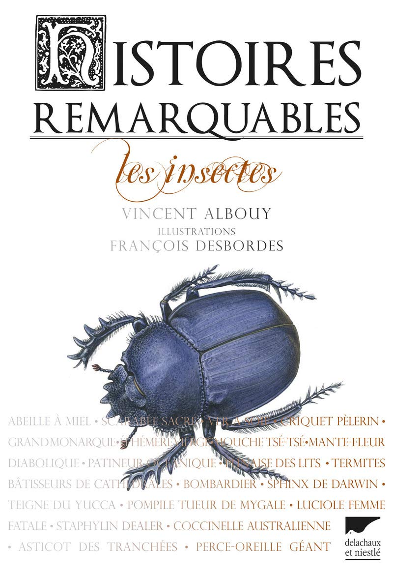 Histoires remarquables. Les insectes book
