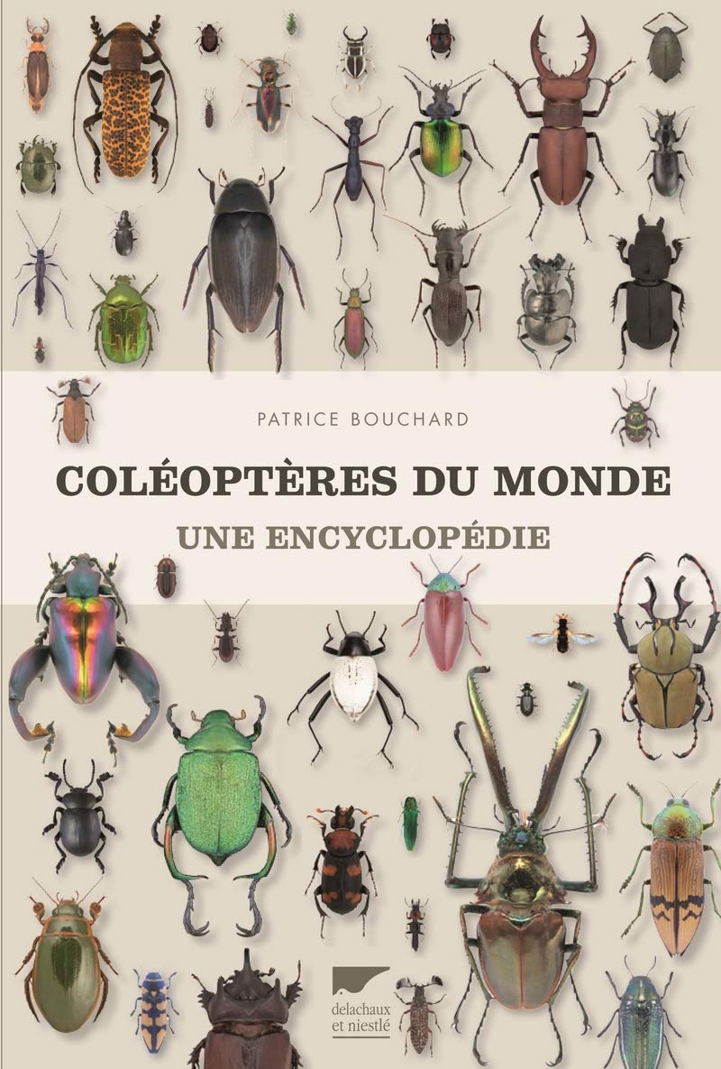 Coléoptères du monde: Une encyclopédie Film, Art & Culture