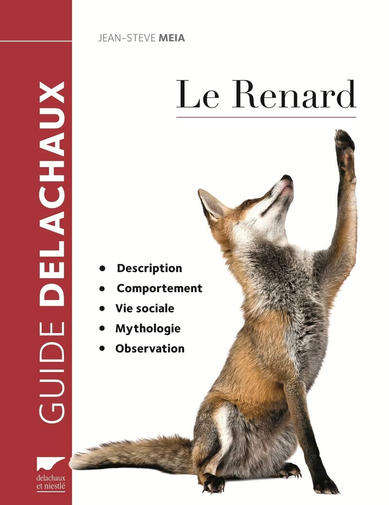 Le Renard: Description, comportement, vie sociale, mythologie, observation Leisure, Home & Garden