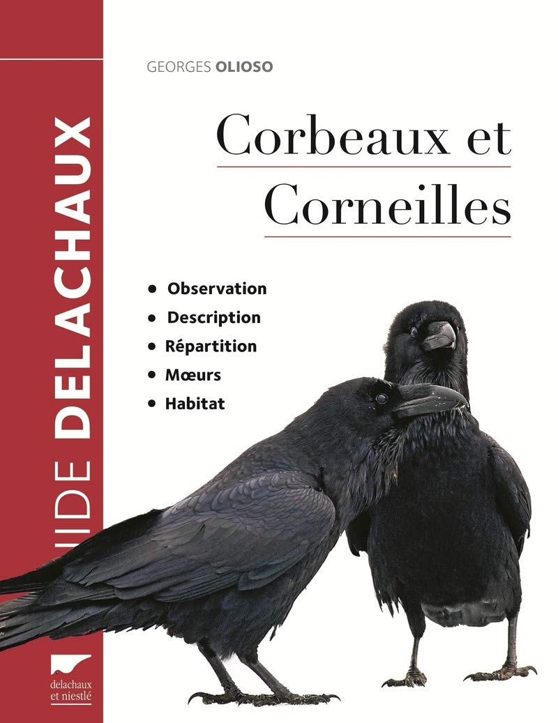 Corbeaux et corneilles: Observation, description, répartition, moeurs, habitat Film, Art & Culture
