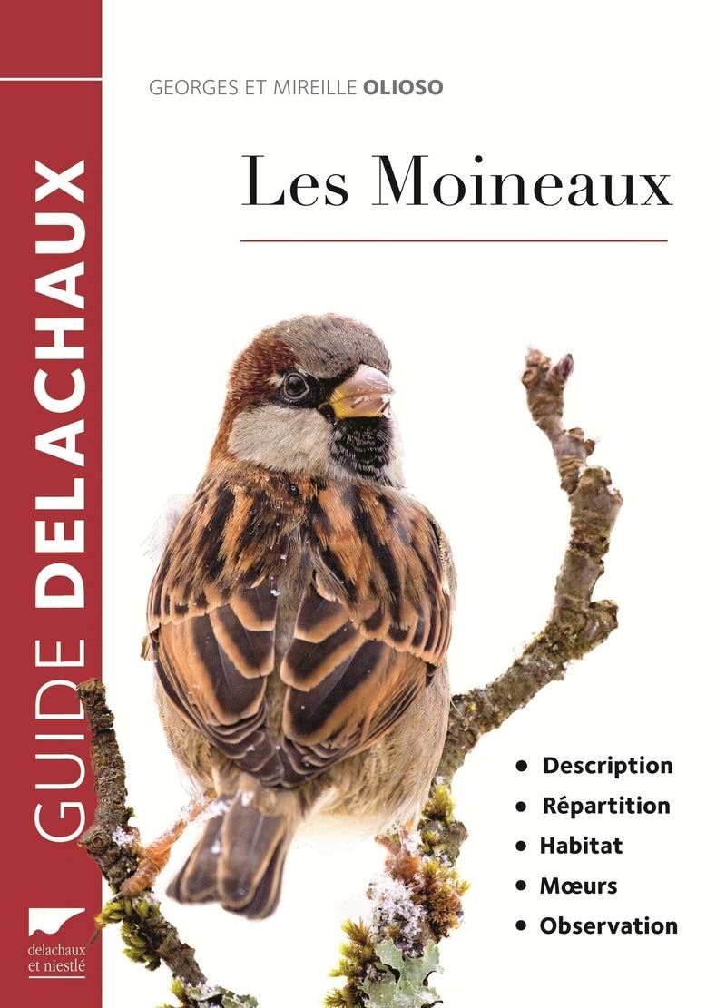 Les Moineaux: Description, répartition, habitat, moeurs, observation Leisure, Home & Garden