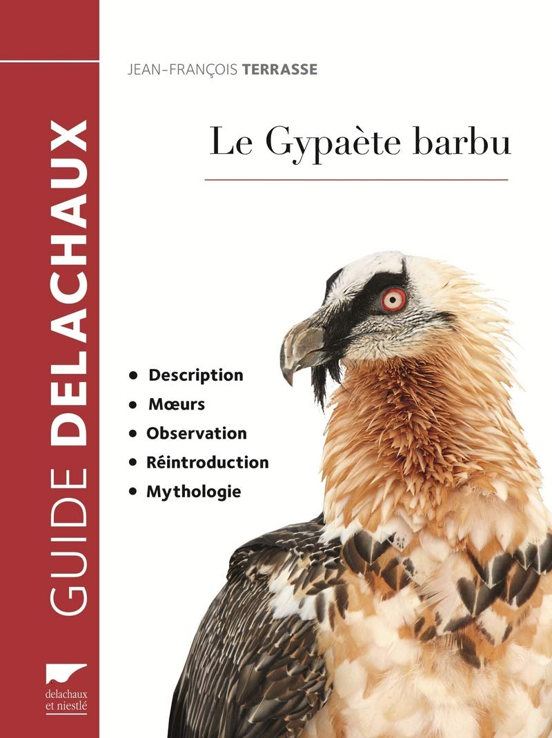 Le Gypaète barbu: Description, moeurs, observation, réintroduction, mythologie Leisure, Home & Garden