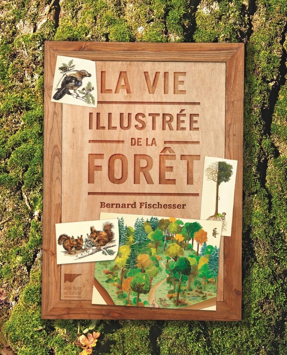 La Vie illustrée de la forêt Nature & Animals