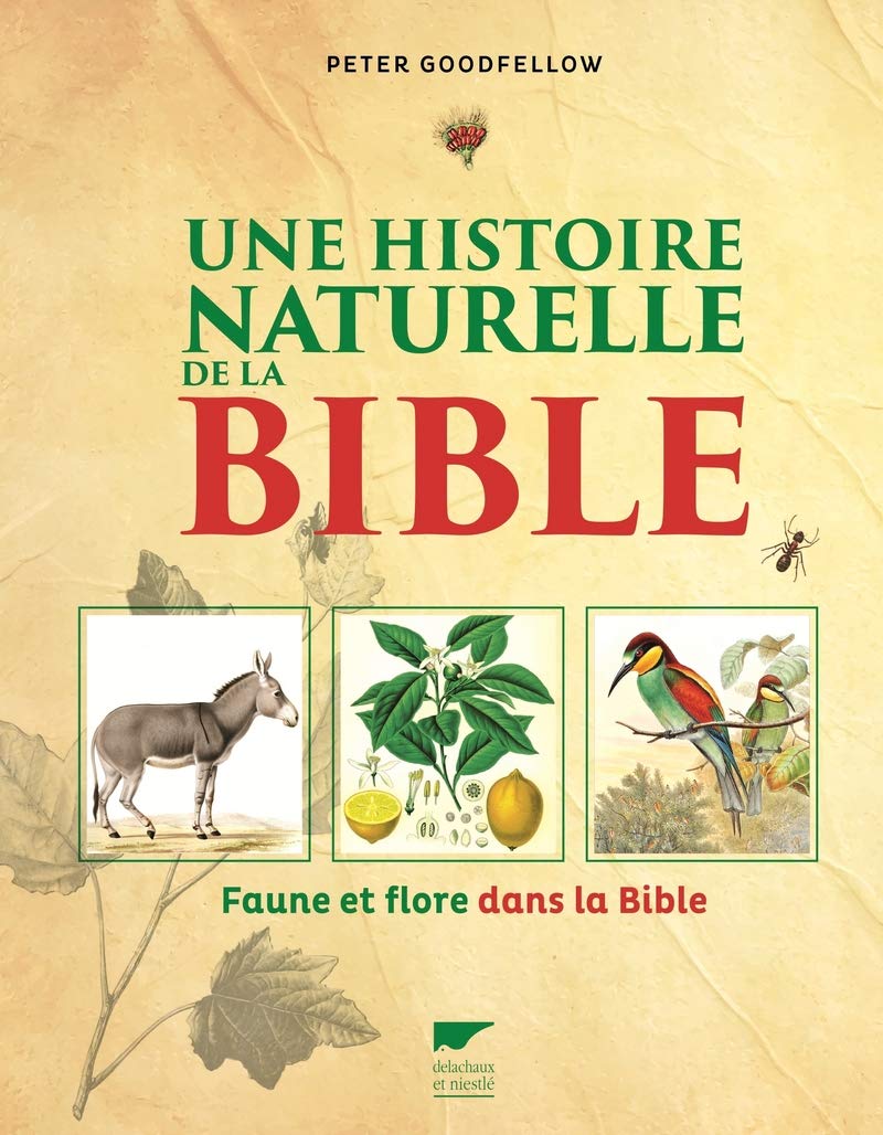 Une histoire naturelle de la Bible: Faune et flore dans la Bible Politics & History
