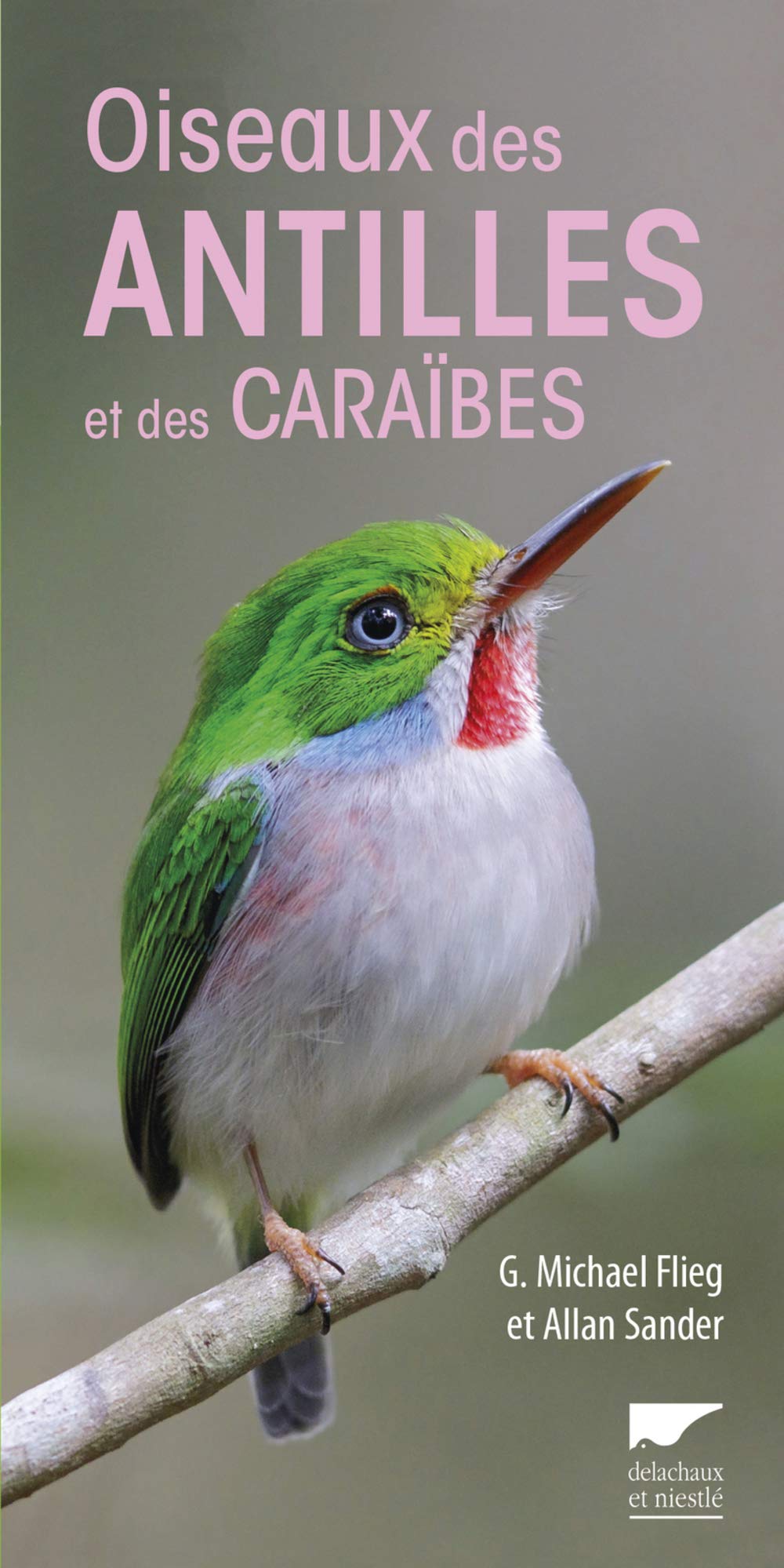 Oiseaux des Antilles et des Caraïbes book