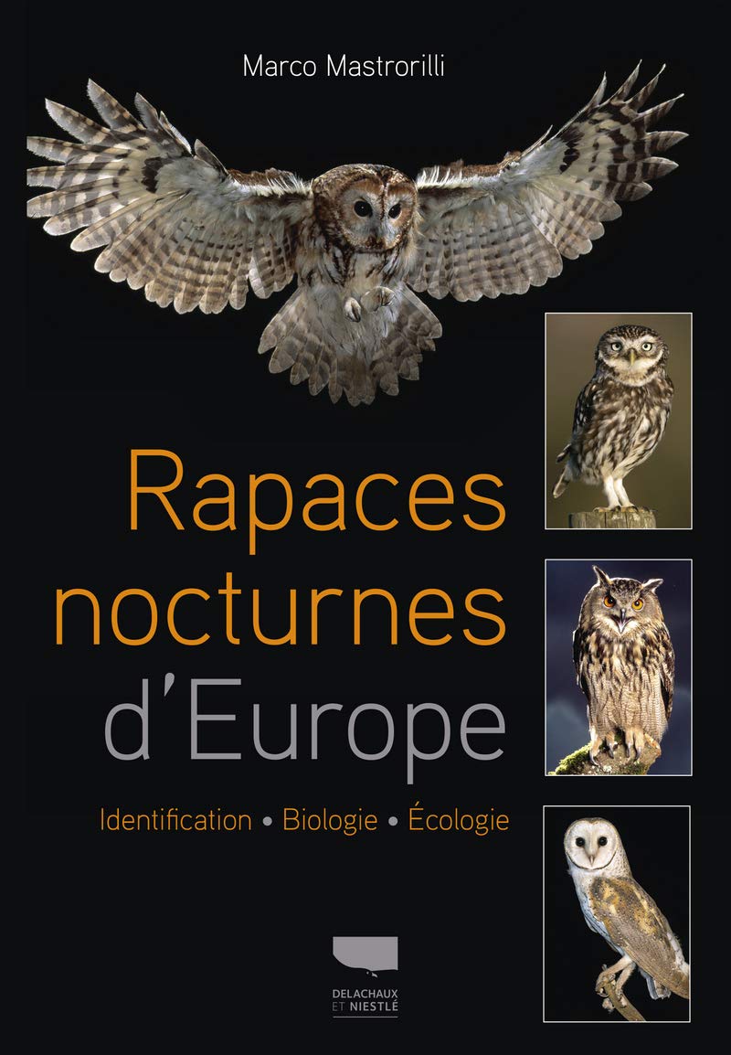 Rapaces nocturnes d'Europe: Identification - Biologie - Écologie Leisure, Home & Garden