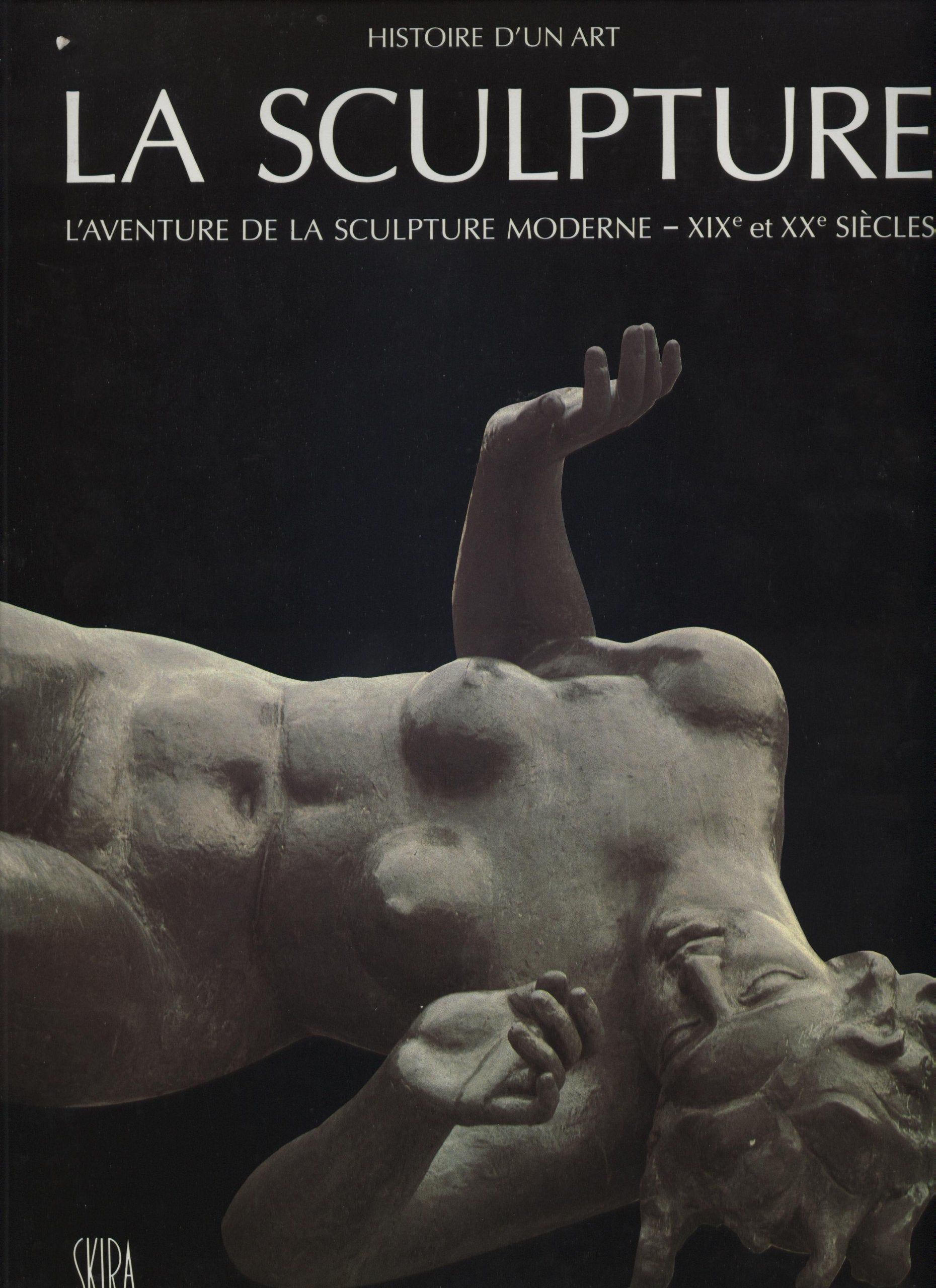 Sculpture xixe et xxe siecles l'aventure de la sculpture moderne (La) Books