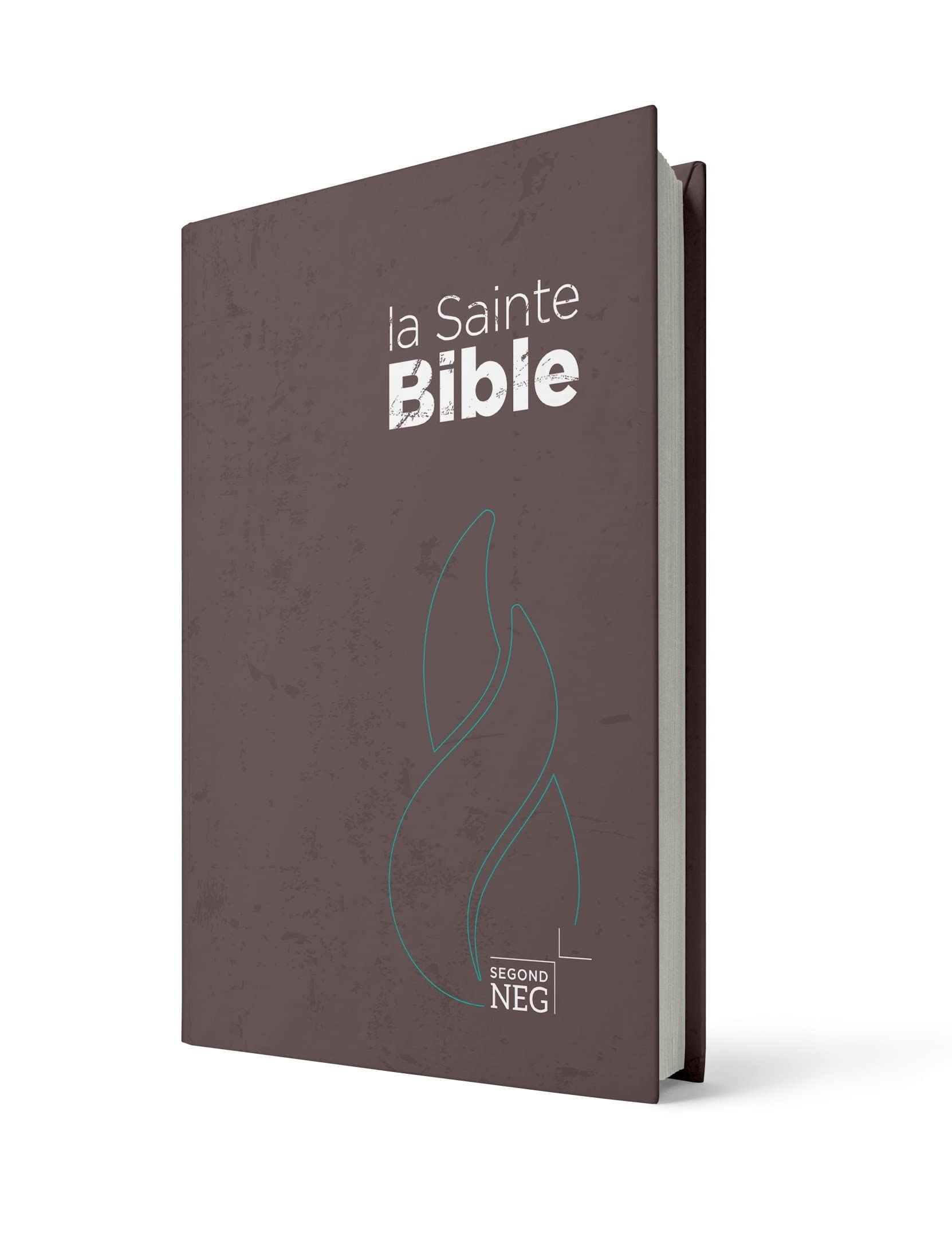 Bible Segond NEG, compacte : couverture rigide imprimée brune book