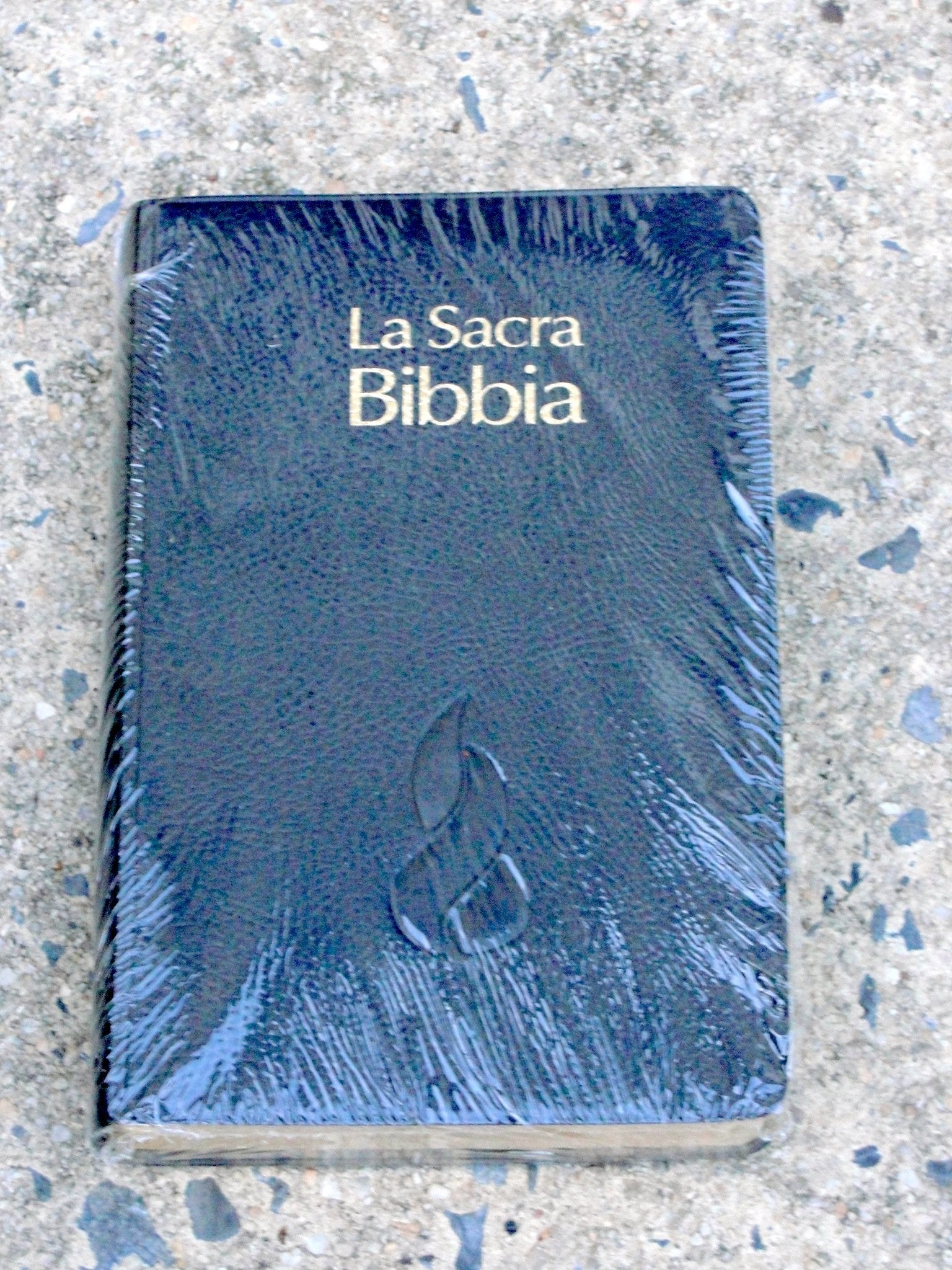 Bibbia Nuova Riveduta : Nera book