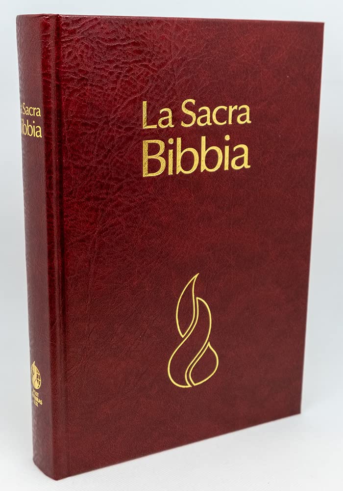 Bibbia Nuova Riveduta 1995 : Copertina rigida bordeaux book