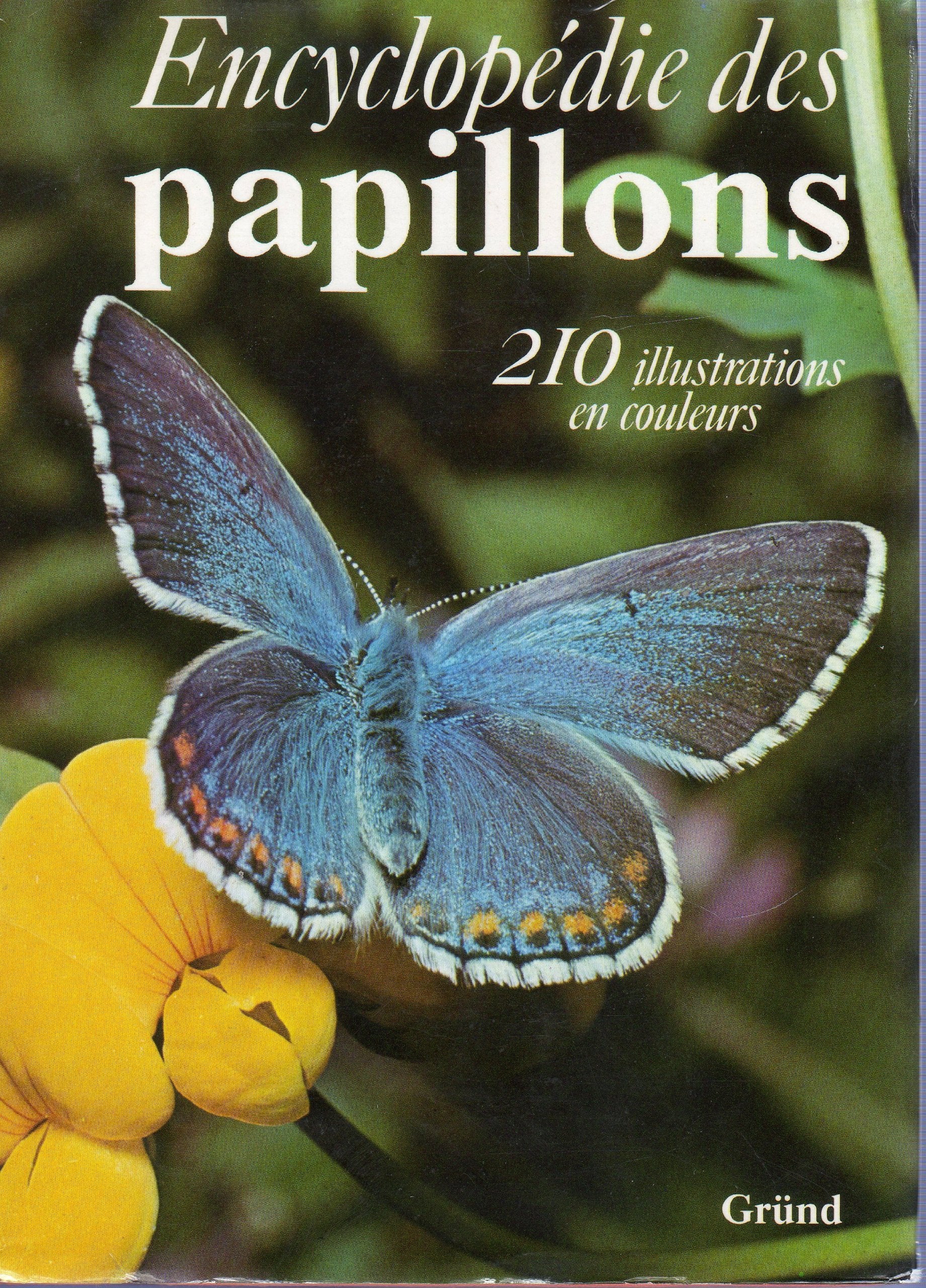 Encyclopédie des papillons, 210 illustrations en couleurs Books