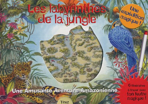 Les labyrinthes de la jungle: Une Amusante Aventure Amazonienne book