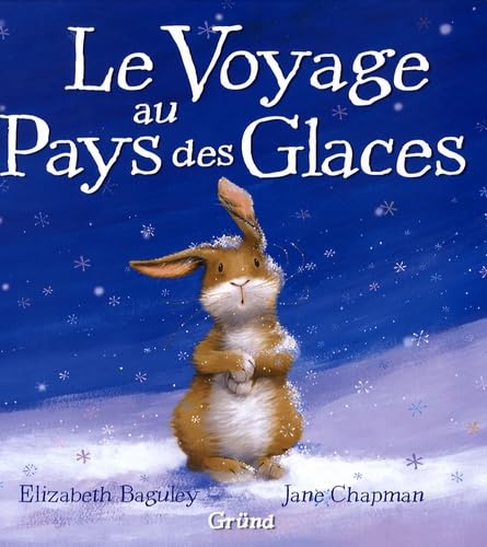 Le Voyage au Pays des Glaces Books